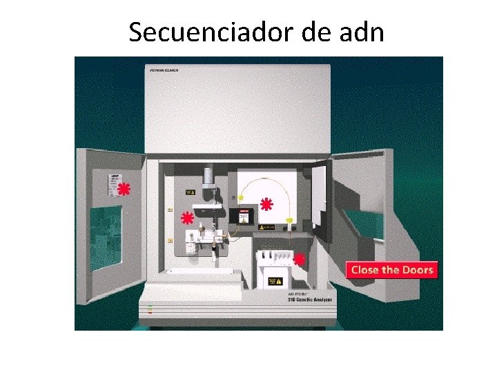 Secuenciador de adn 