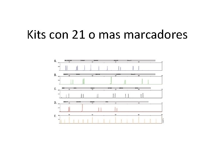 Kits con 21 o mas marcadores 