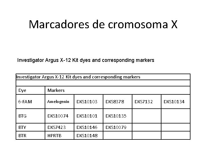 Marcadores de cromosoma X Investigator Argus X-12 Kit dyes and corresponding markers Dye Markers
