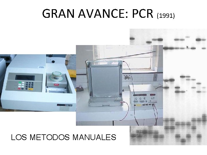 GRAN AVANCE: PCR (1991) LOS METODOS MANUALES 