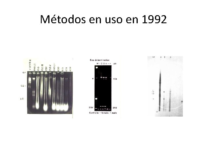 Métodos en uso en 1992 