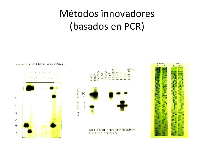 Métodos innovadores (basados en PCR) 