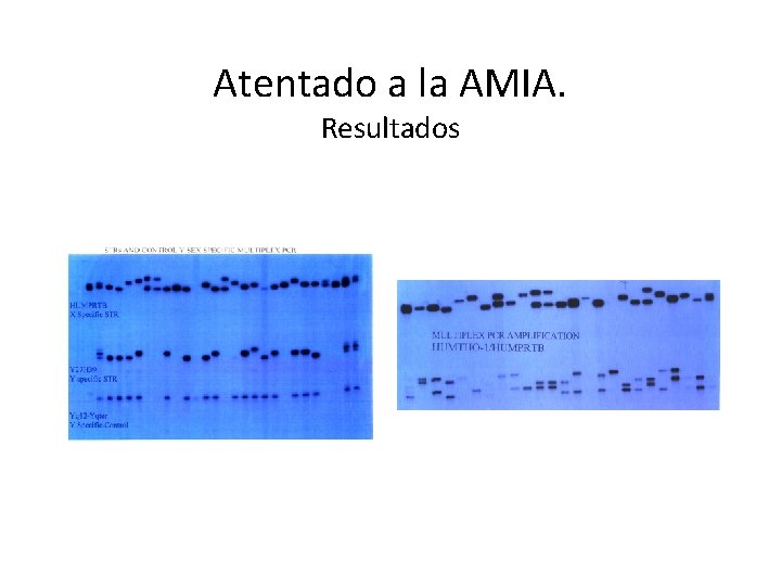 Atentado a la AMIA. Resultados 