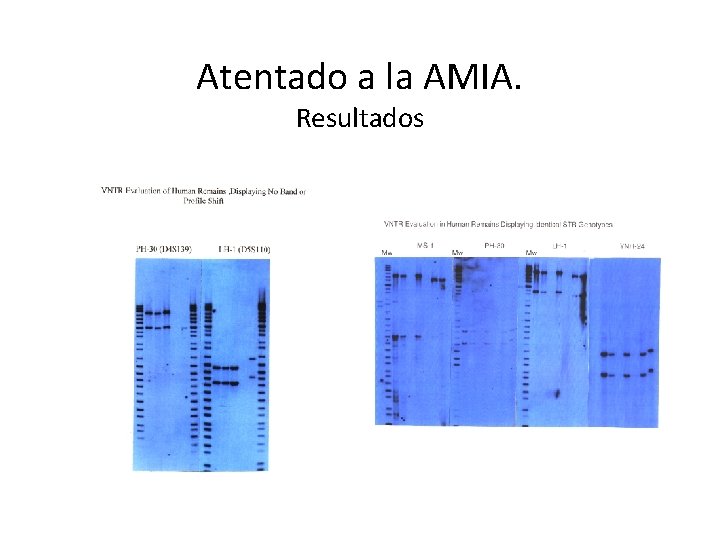 Atentado a la AMIA. Resultados 