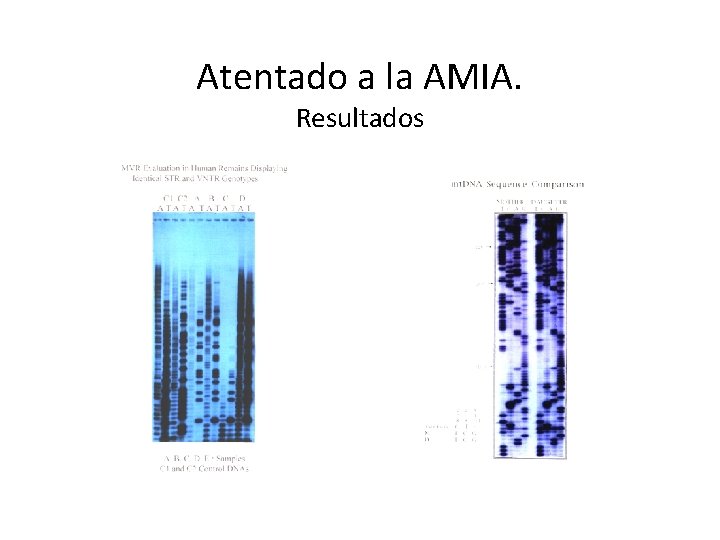 Atentado a la AMIA. Resultados 