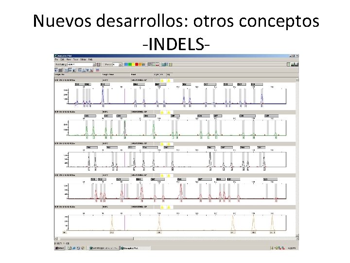 Nuevos desarrollos: otros conceptos -INDELS- 