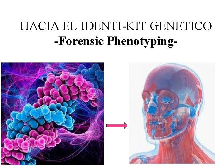 HACIA EL IDENTI-KIT GENETICO -Forensic Phenotyping- 
