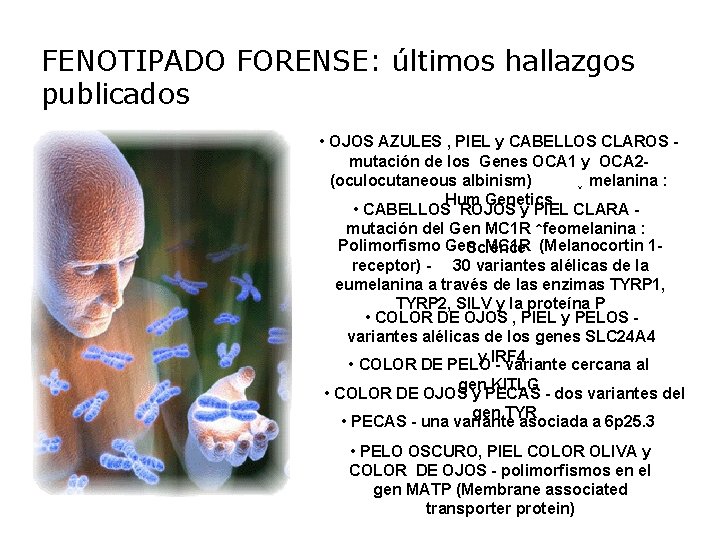 FENOTIPADO FORENSE: últimos hallazgos publicados • OJOS AZULES , PIEL y CABELLOS CLAROS mutación