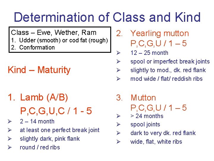 Determination of Class and Kind Class – Ewe, Wether, Ram 1. Udder (smooth) or