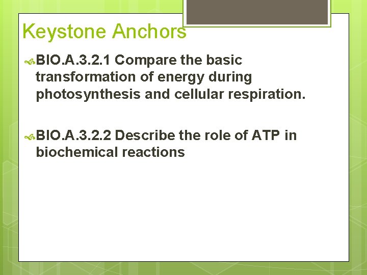 Keystone Anchors BIO. A. 3. 2. 1 Compare the basic transformation of energy during