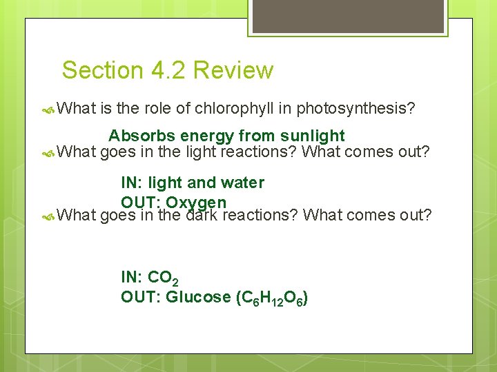 Section 4. 2 Review What is the role of chlorophyll in photosynthesis? Absorbs energy