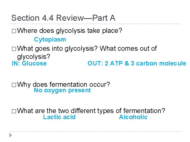 Section 4. 4 Review—Part A � Where does glycolysis take place? Cytoplasm � What