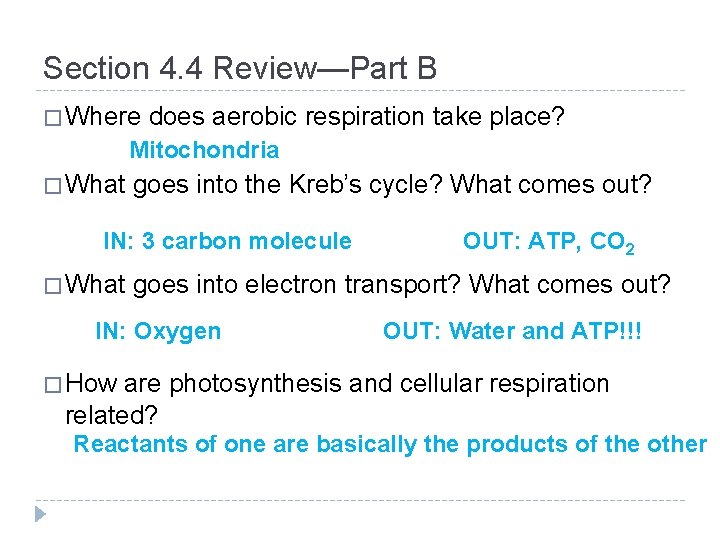 Section 4. 4 Review—Part B � Where does aerobic respiration take place? Mitochondria �