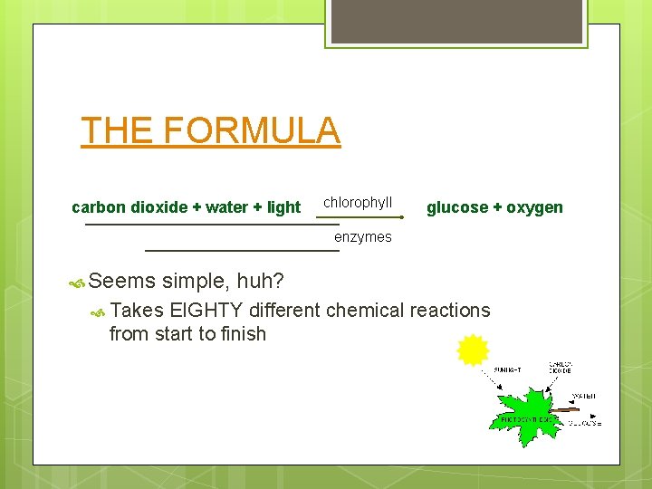 THE FORMULA carbon dioxide + water + light chlorophyll ___________enzymes Seems glucose + oxygen