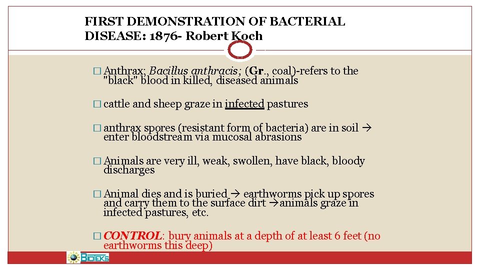 FIRST DEMONSTRATION OF BACTERIAL DISEASE: 1876 - Robert Koch � Anthrax; Bacillus anthracis; (Gr.