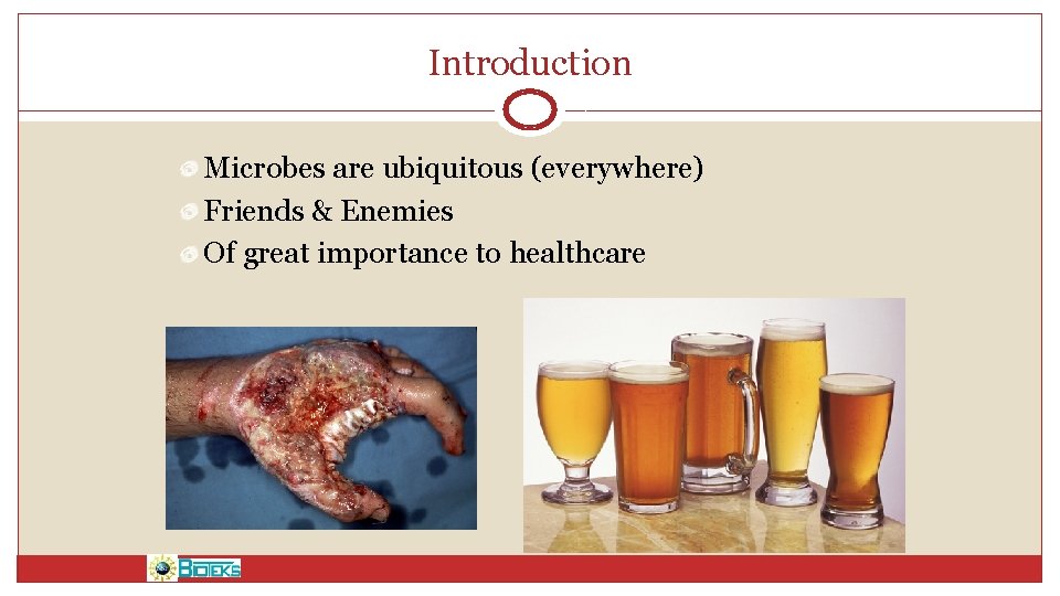 Introduction Microbes are ubiquitous (everywhere) Friends & Enemies Of great importance to healthcare 