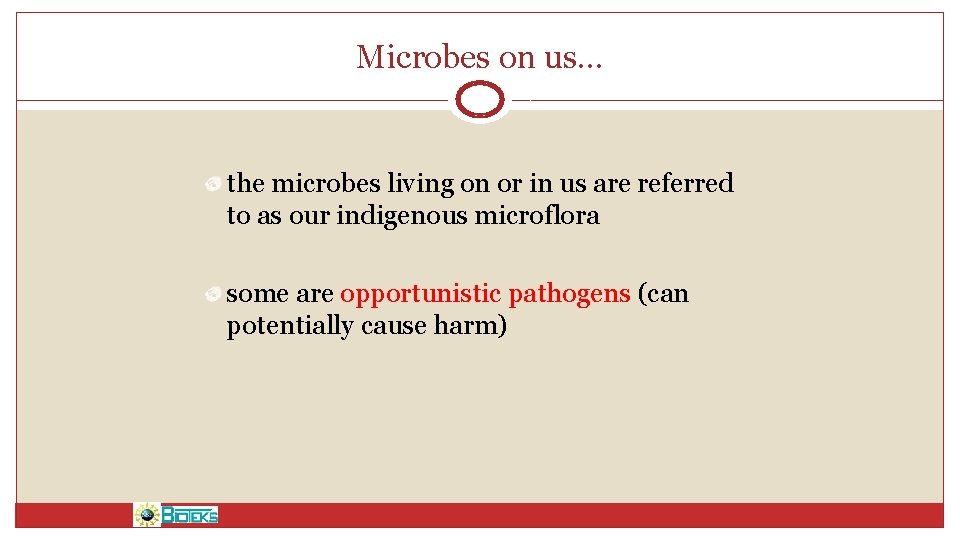 Microbes on us. . . the microbes living on or in us are referred