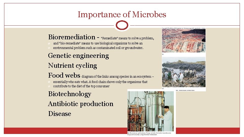 Importance of Microbes Bioremediation - "Remediate" means to solve a problem, and "bio-remediate" means