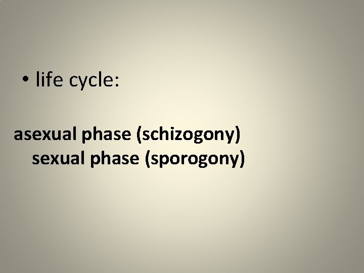  • life cycle: asexual phase (schizogony) sexual phase (sporogony) 