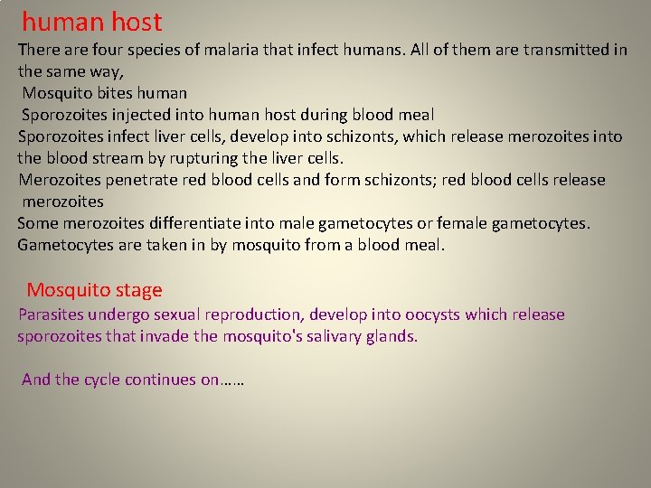 human host There are four species of malaria that infect humans. All of them