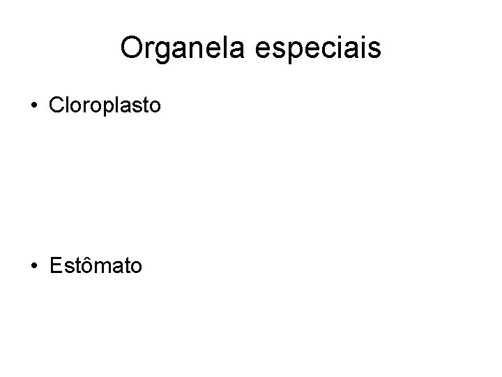 Organela especiais • Cloroplasto • Estômato 