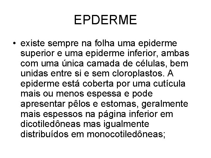 EPDERME • existe sempre na folha uma epiderme superior e uma epiderme inferior, ambas