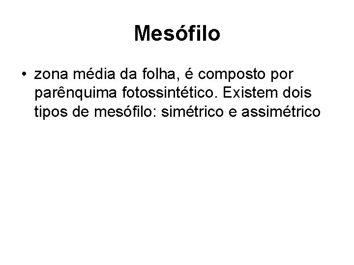 Mesófilo • zona média da folha, é composto por parênquima fotossintético. Existem dois tipos