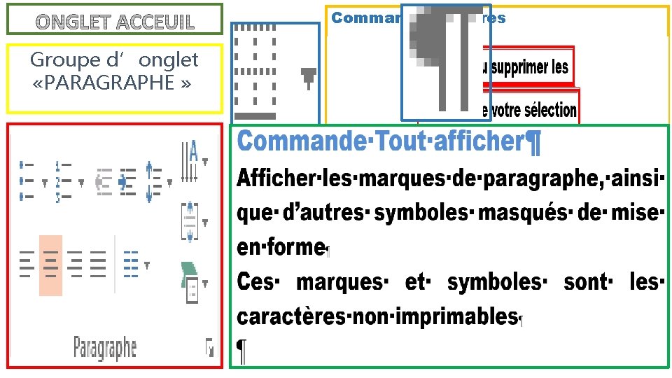Commande Bordures Groupe d’onglet «PARAGRAPHE » Commande Trier Organiser la sélection par ordre alphabétique