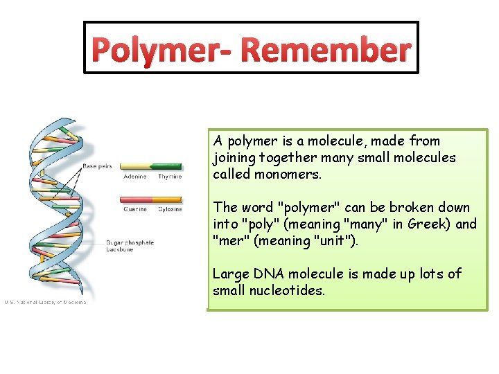 Polymer- Remember A polymer is a molecule, made from joining together many small molecules