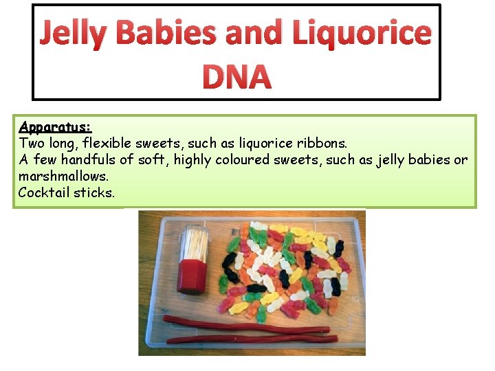 Jelly Babies and Liquorice DNA Apparatus: Two long, flexible sweets, such as liquorice ribbons.