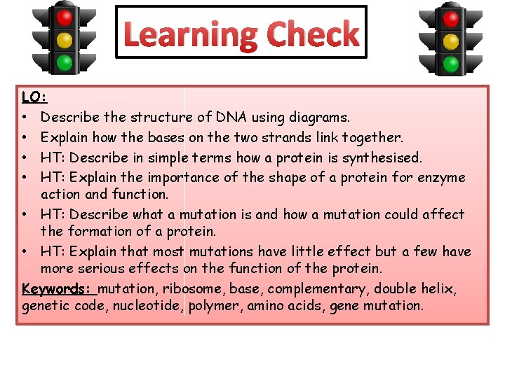 Learning Check LO: • Describe the structure of DNA using diagrams. • Explain how