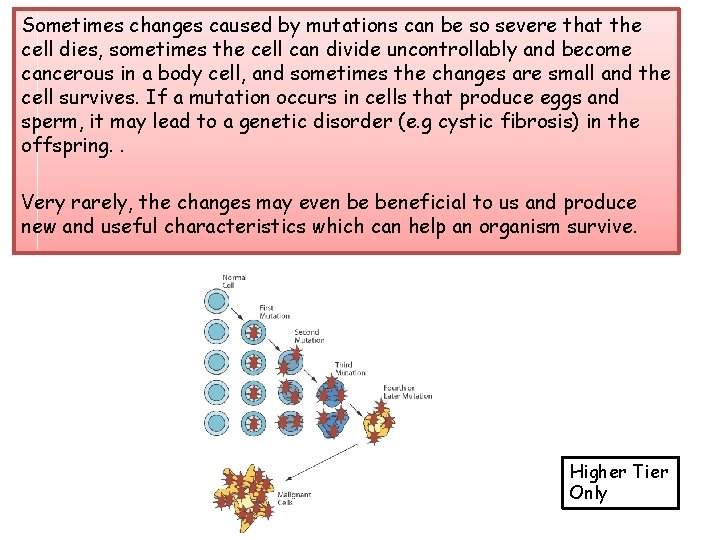 Sometimes changes caused by mutations can be so severe that the cell dies, sometimes