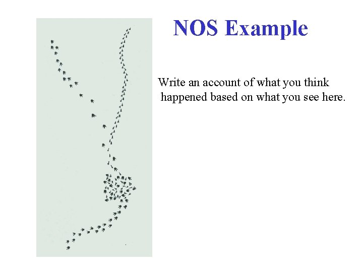 NOS Example Write an account of what you think happened based on what you