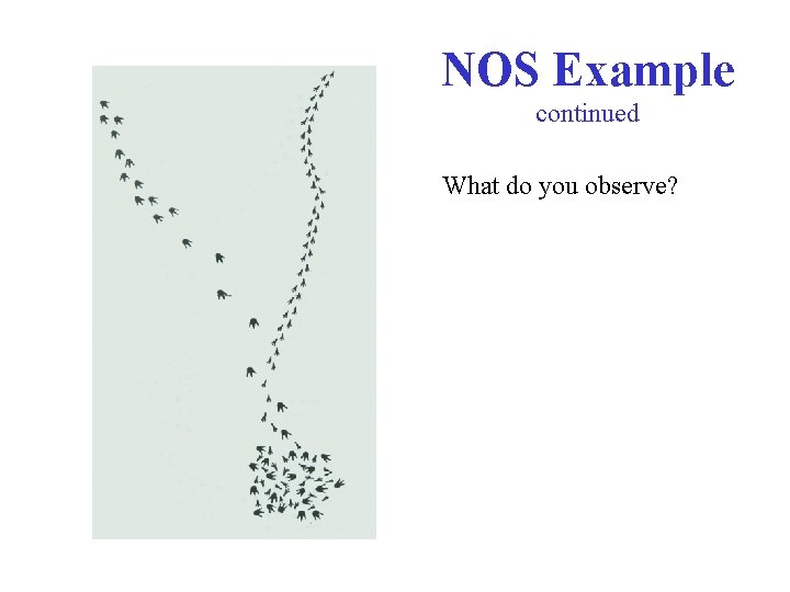 NOS Example continued What do you observe? 