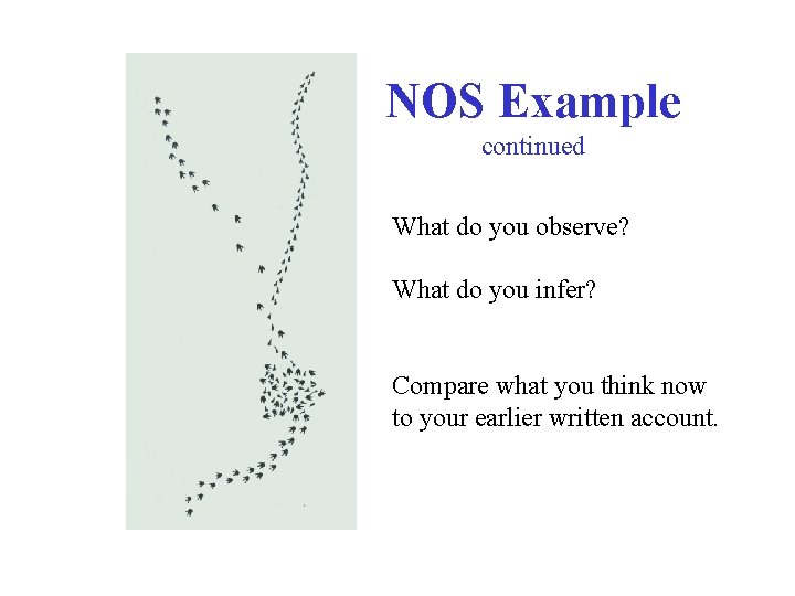 NOS Example continued What do you observe? What do you infer? Compare what you