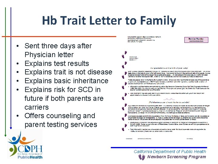 Hb Trait Letter to Family • Sent three days after Physician letter • Explains