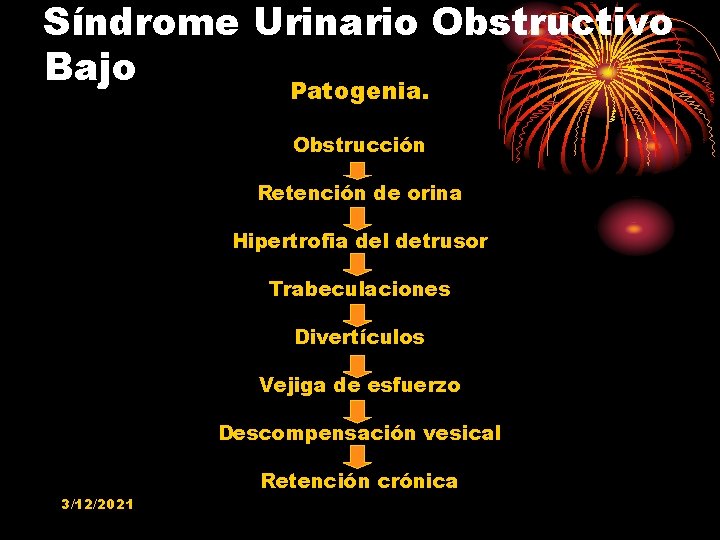 Síndrome Urinario Obstructivo Bajo Patogenia. Obstrucción Retención de orina Hipertrofia del detrusor Trabeculaciones Divertículos