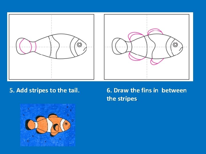 5. Add stripes to the tail. 6. Draw the fins in between the stripes.