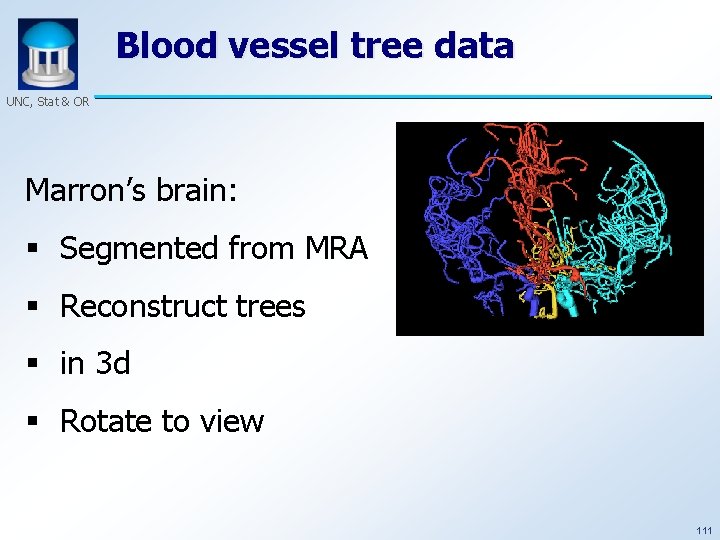 Blood vessel tree data UNC, Stat & OR Marron’s brain: § Segmented from MRA