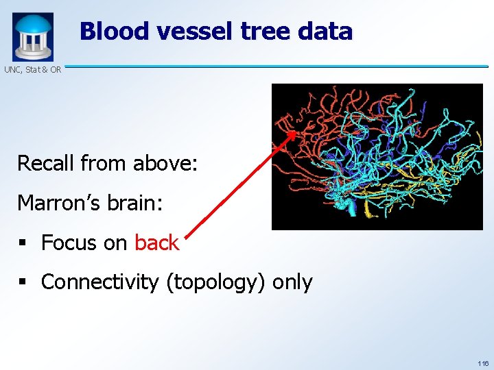 Blood vessel tree data UNC, Stat & OR Recall from above: Marron’s brain: §