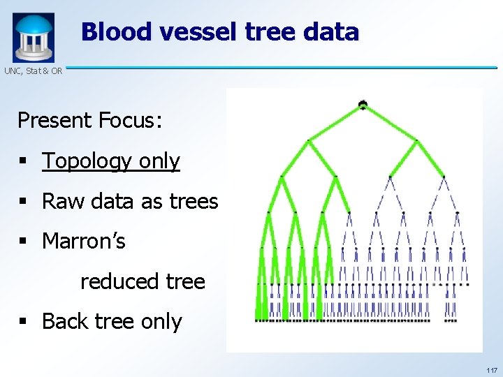 Blood vessel tree data UNC, Stat & OR Present Focus: § Topology only §