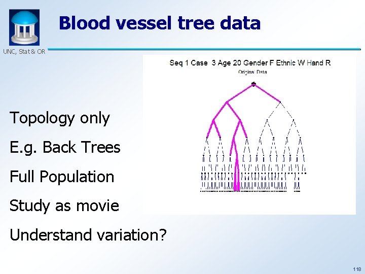 Blood vessel tree data UNC, Stat & OR Topology only E. g. Back Trees