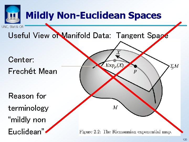 Mildly Non-Euclidean Spaces UNC, Stat & OR Useful View of Manifold Data: Tangent Space