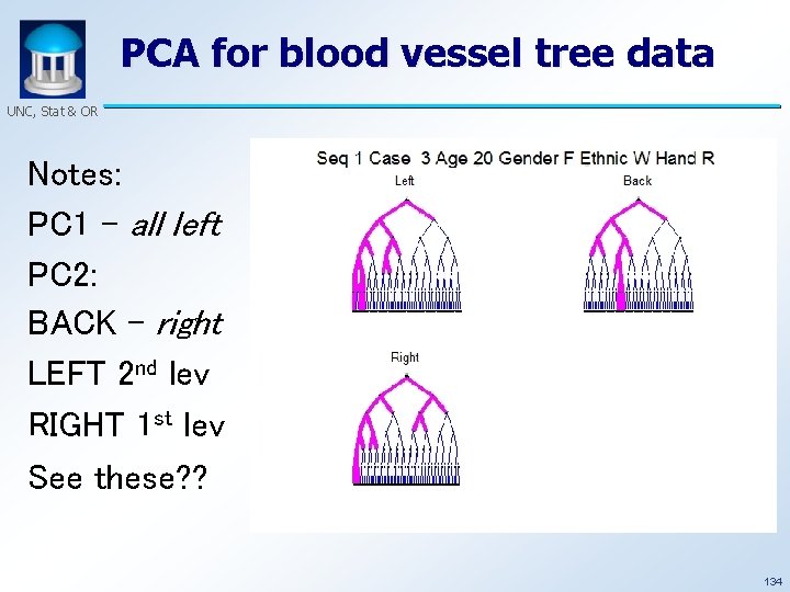 PCA for blood vessel tree data UNC, Stat & OR Notes: PC 1 –