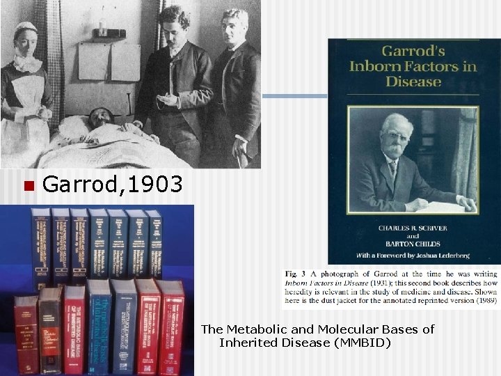 n Garrod, 1903 The Metabolic and Molecular Bases of Inherited Disease (MMBID) 