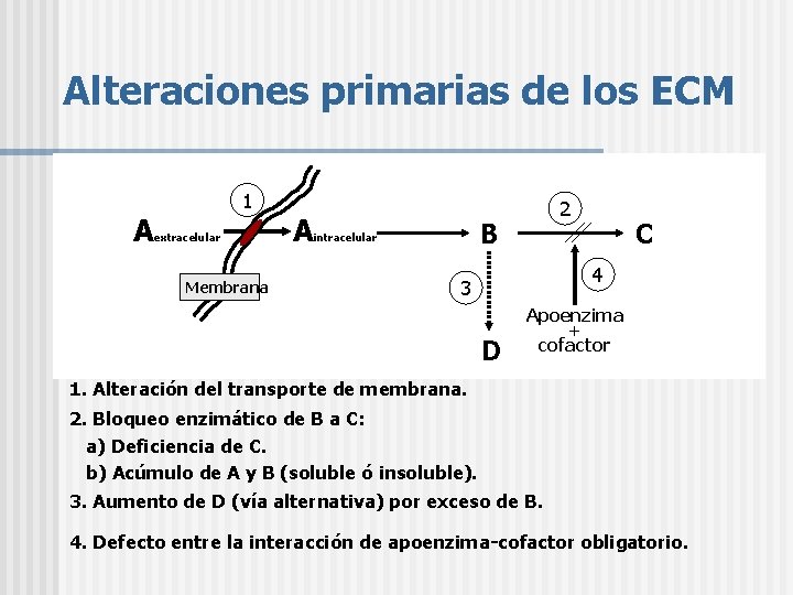 Alteraciones primarias de los ECM A 1 extracelular Membrana A 2 B intracelular C