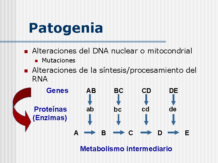 Patogenia n Alteraciones del DNA nuclear o mitocondrial n n Mutaciones Alteraciones de la