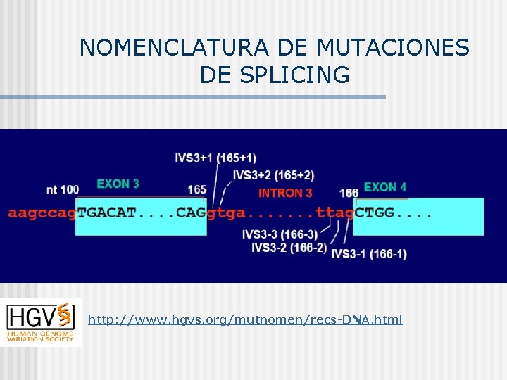 NOMENCLATURA DE MUTACIONES DE SPLICING http: //www. hgvs. org/mutnomen/recs-DNA. html 