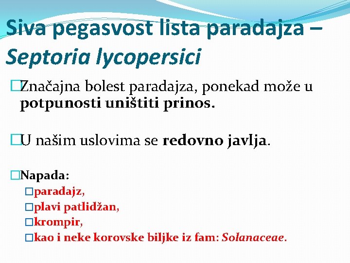 Siva pegasvost lista paradajza – Septoria lycopersici �Značajna bolest paradajza, ponekad može u potpunosti