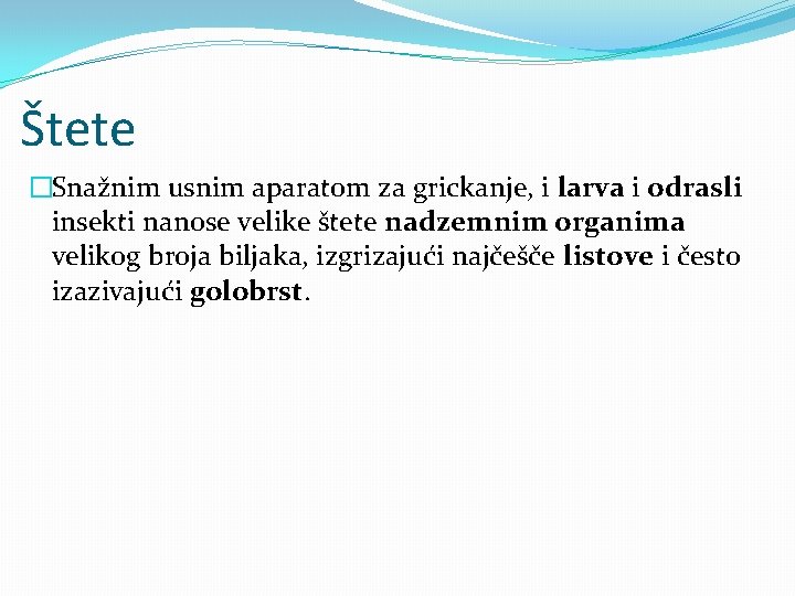 Štete �Snažnim usnim aparatom za grickanje, i larva i odrasli insekti nanose velike štete